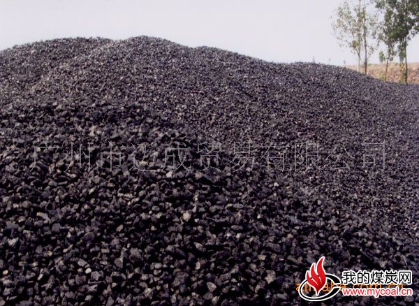 供应优质贵州水洗煤2-4（无烟煤、水洗煤、低硫）