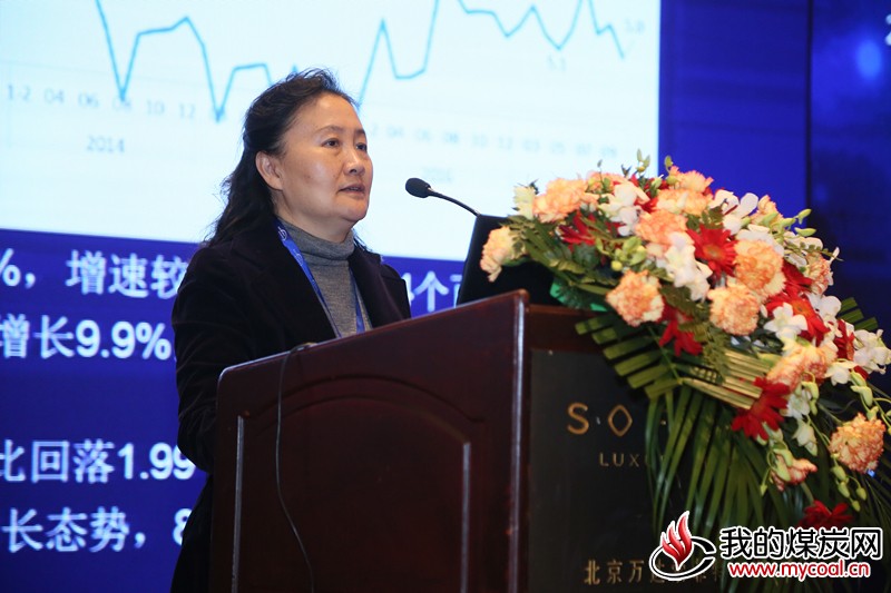 中国电力企业联合会信息部主任 薛静