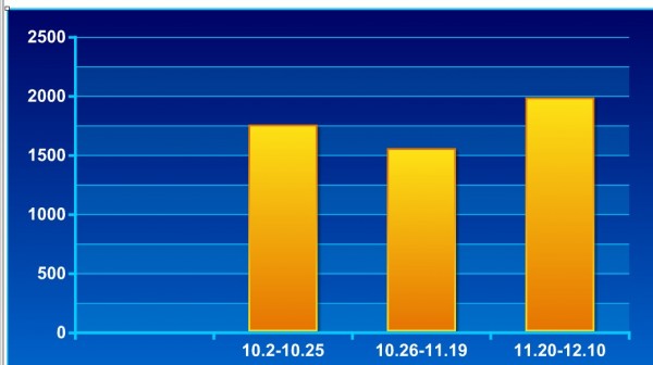 二级焦 枣滕 10.2-12.10