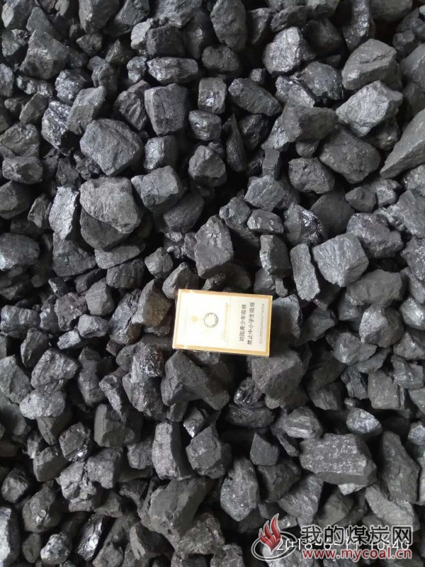东莞市华胜能源有限公司直销各种煤炭