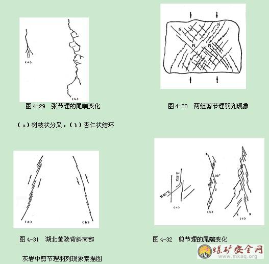 (3)组合形态常成组出现,往往等距排列,两组发育常组成x型共轭节理系