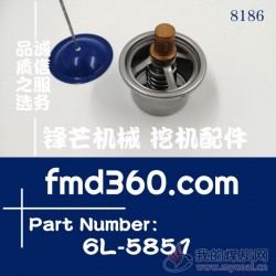海南省卡特节温器6L58