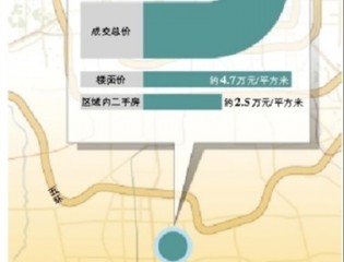 北京大兴黄村地块拍4.