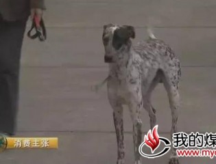 央视：58同城赶集网惊