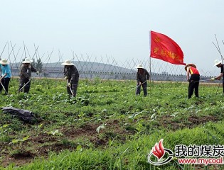 会宝岭铁矿公司组织机