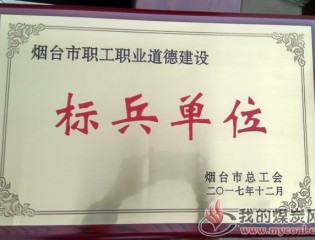 龙矿集团:龙矿集团获