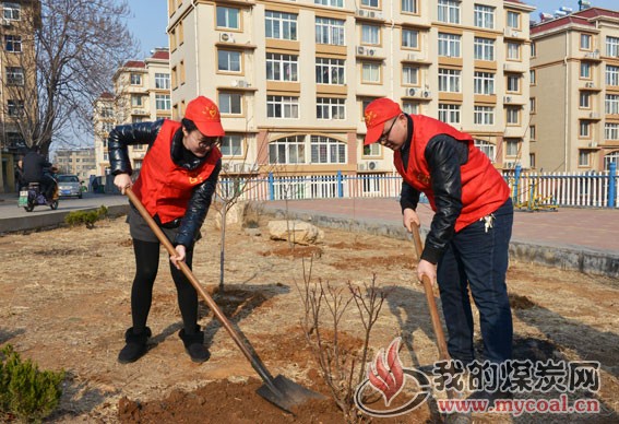  新矿集团:集团公司各单位开展义务植树活动