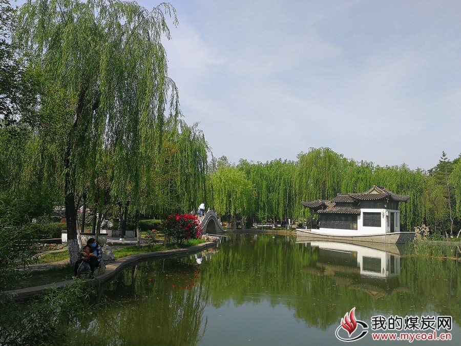 淄矿集团:集团公司召