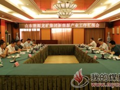 龙矿集团:能源集团新