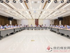安徽皖能集团:省天然