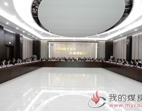 临矿集团:集团公司开