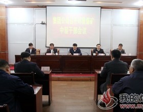临矿集团:集团公司在