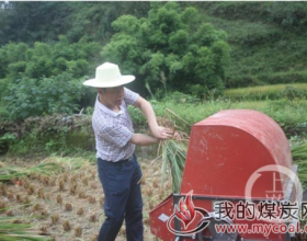 云阳县泥溪镇：港澳委