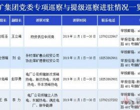 新矿集团党委专项巡察