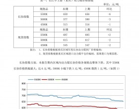 2020年2月17日重庆动