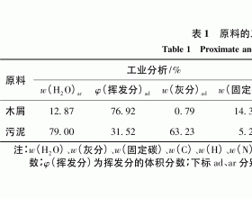 高湿污泥与生物质的共