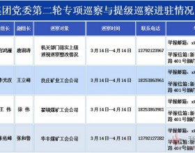 新矿集团党委第二轮专