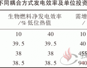 生物质气化耦合发电炉