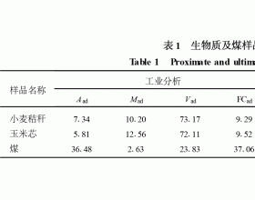 生物质燃烧模式及燃烧