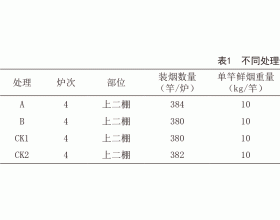 外置式生物质燃烧机在