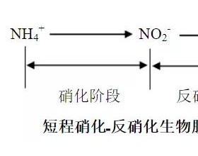 短程硝化反硝化与同步