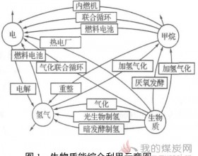 生物质能源的利用现状