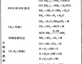 生物质燃料在燃煤锅炉