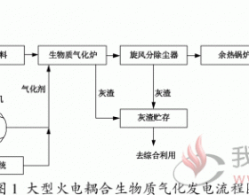 大型火电耦合生物质气