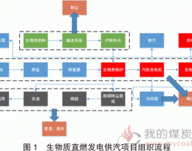 生物质直燃发电供汽过