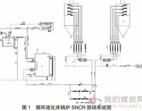 浅谈SNCR脱硝系统用双