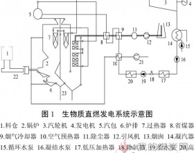 生物质直燃发电技术与