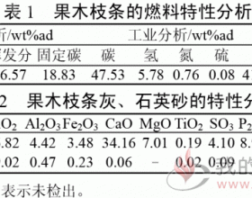 生物质成型燃料流化床