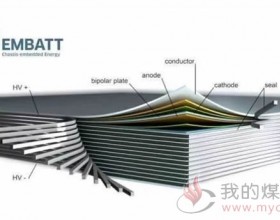 EMBATT双极性电极 底