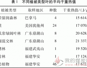 中国竹类生物质能源开