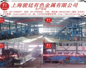 C52100磷青铜上海有卖