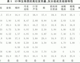 生物质燃料在流化床内