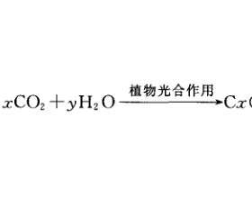 生物质能源的应用技术