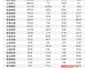 新山东能源集团、新山