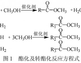 酯化及转酯化法制备生