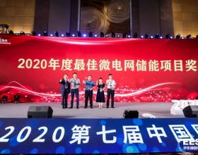 和网源电气荣获“2020