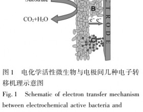 电化学活性微生物在微