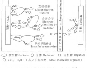 基于铁还原菌的微生物