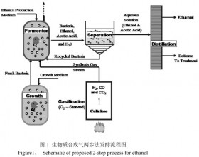 生物质合成气发酵生产