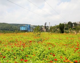 【铜川矿业】王石凹旅