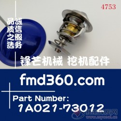 湖南省供应4D87节温器