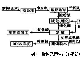 燃料乙醇的生产与利用