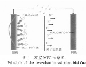 双室和单室微生物燃料