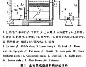 生物质成型燃料热水锅