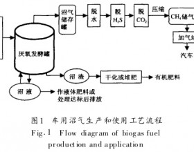 中国沼气产业化途径与