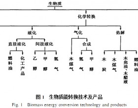  生物质能源应用研究现状与发展前景